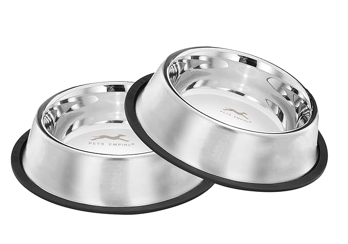 Pets Empire Stainless Steel feeding bowl